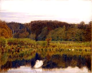 Abinger Mill Pond, Surrey