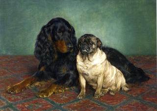 A Gordon Setter and a Pug