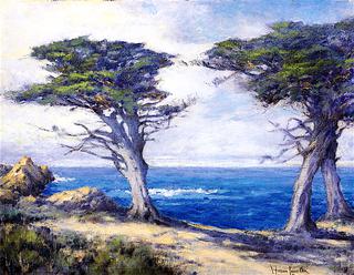 Cypresses, Monterey Coast