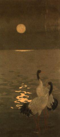 Cisnes