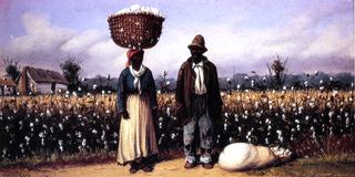 Negro Man and Woman in Cotton Field with Cotton Basket and Cotton Bag