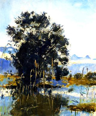 Marshland by Gwatt (Lake of Thun)