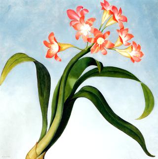 Clivia