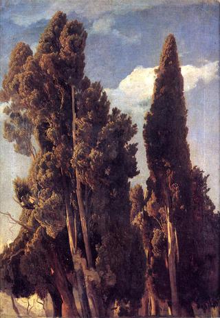 Cypresses