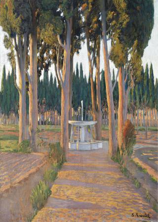 Golden Cypresses