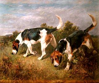 New Forest Buckhounds: ....