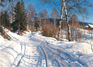 Sunny Winter Landscape