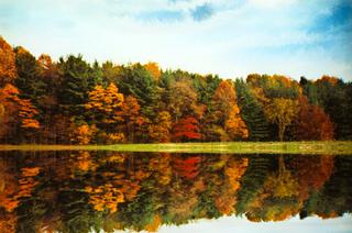 Autumn trees reflected in lake