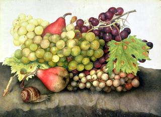 Snail with Grapes and Pears