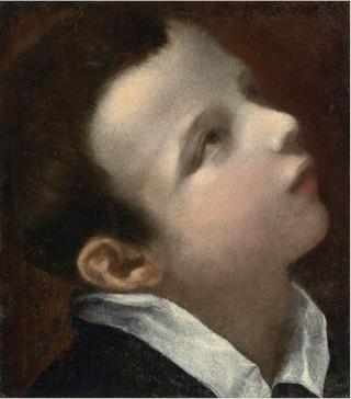 Head of a Youth