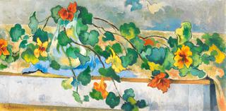 Nasturtiums