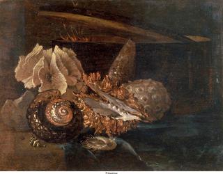 Still Life:  Shell and Coral