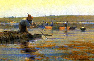 River Weeders