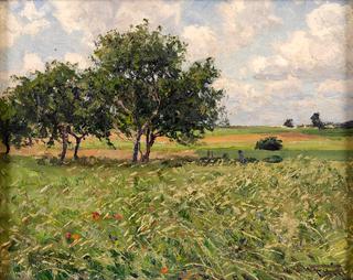 Summer Landscape