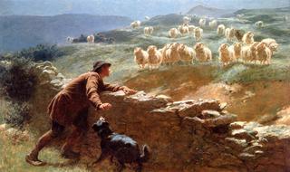 The Sheepstealer