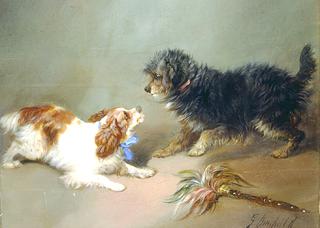 King Charles Spaniel and Terrier