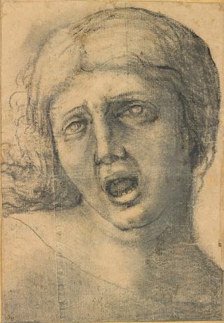 Head of a Woman Crying Out
