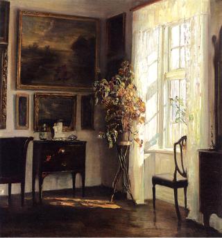 A Sunlit Interior