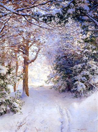 Snowy Landscape