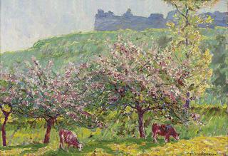 Apple-Blossom time in Arc-la-Bataille