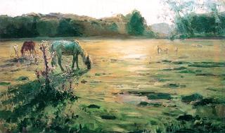 Horses on the Meadow