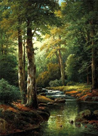 The Forest Stream