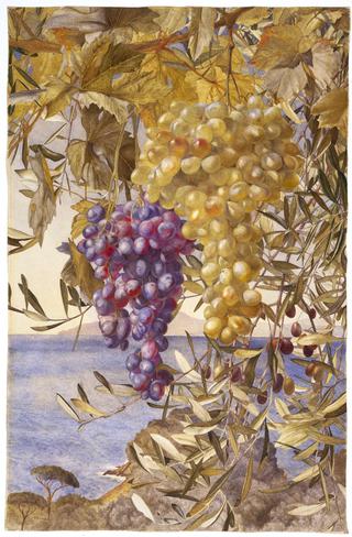 Grapes and Olives