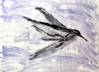 Bird in Flight