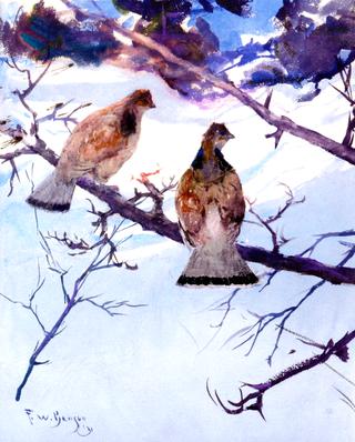 Grouse and Snow