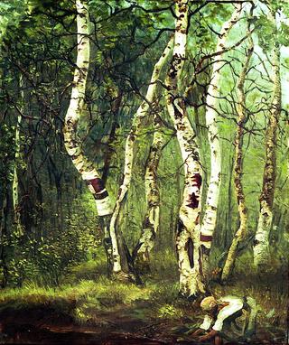 Old Birches