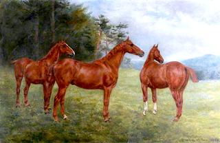 Three Chestnut Horses in a Landscape