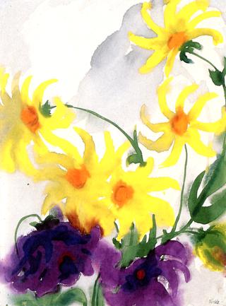 Yellow and Violet Dahlias