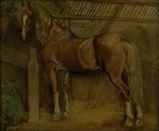Racehorse in the Stables