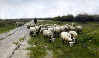 Shepherdess with Sheep