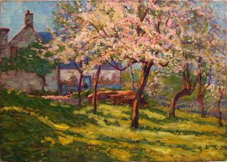 Blossoming apple trees in the garden of a Norman farmhouse