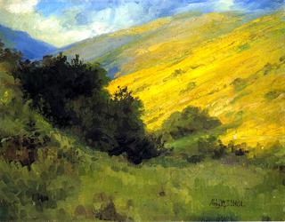 Niguel Canyon: Wild Mustard
