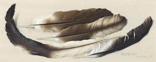 Three Swan Feathers