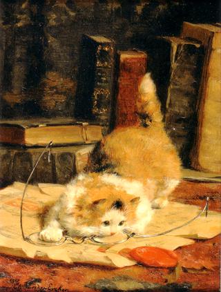 chat aux lunettes