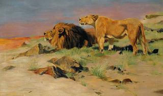 Lion Couple in Savannah