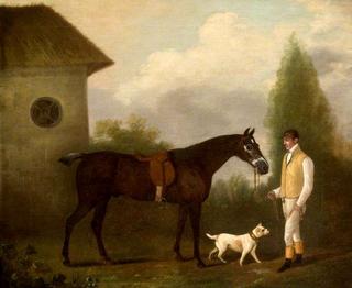 Groom Holding a Bay Horse