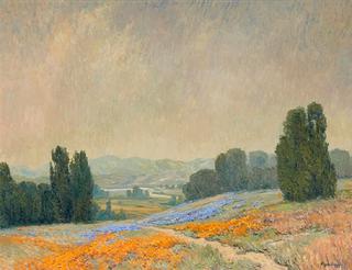 Wild Flowers, Marin County, California