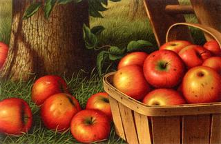 Still Life with Apples, Ladder and Tree