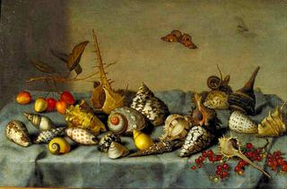 Still life with shells