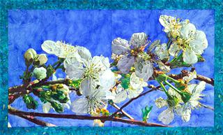 Blossoms and Sky