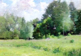 A Summer Meadow