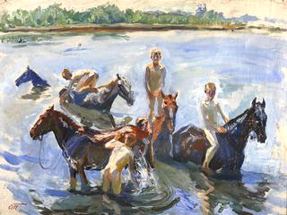 Bathing Horses