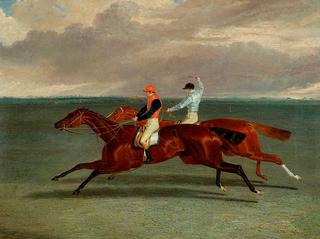 “普里亚姆”和“奥古斯都”的比赛，1831年10月20日