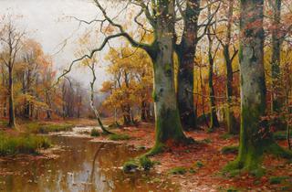 Creek in an Autumnal Forest