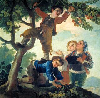 Boys Picking Fruit