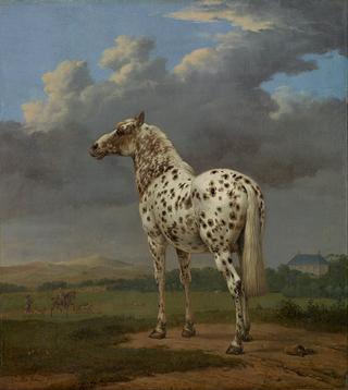 The ''Piebald'' Horse